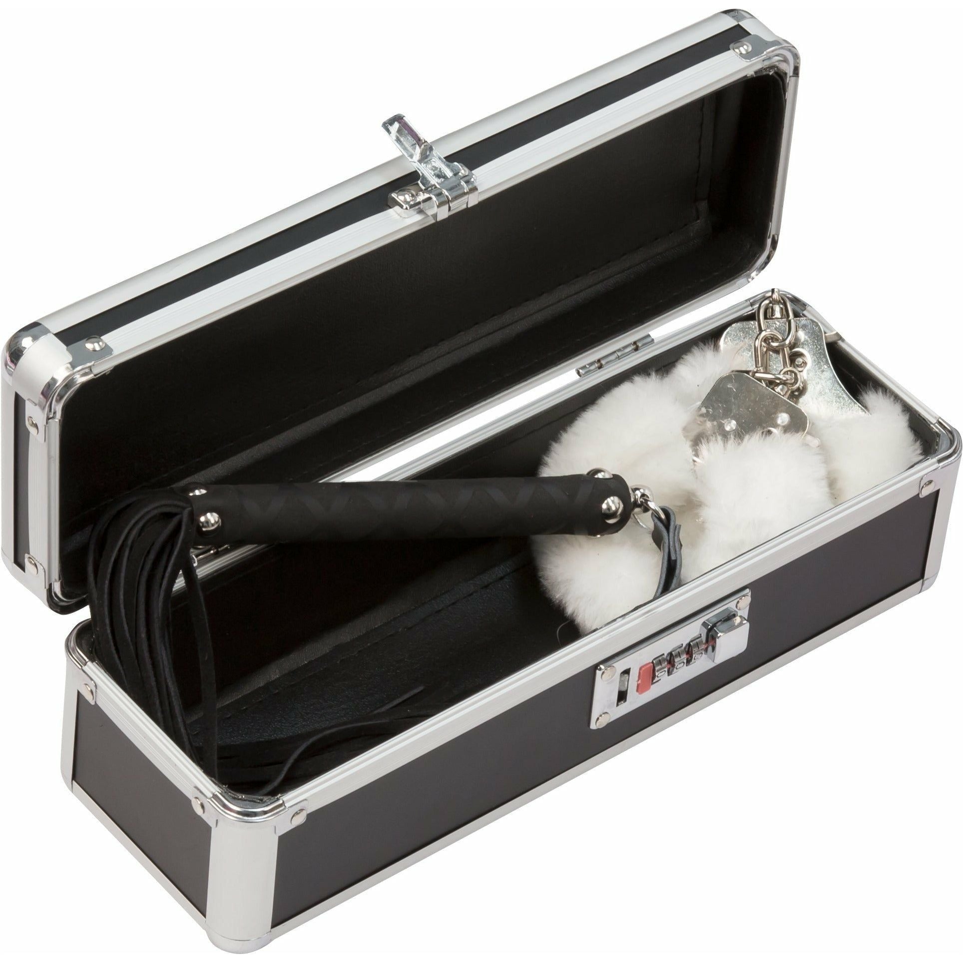 PowerBullet Simple and True - Lockable Vibrator Case - Black