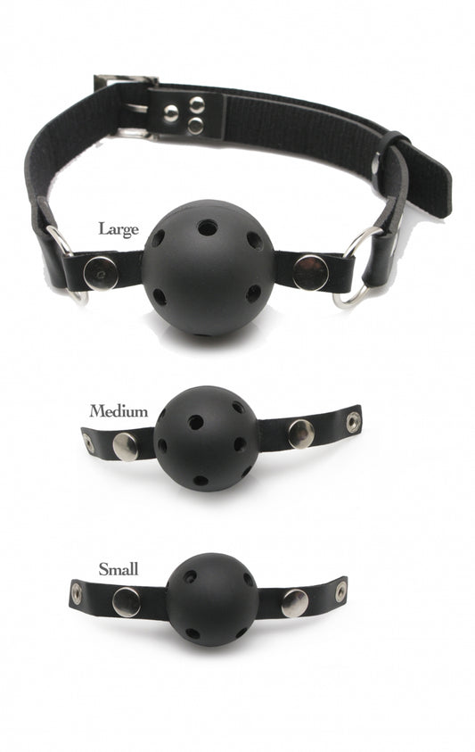 Fetish Fantasy Series Ball Gag Training System - Black