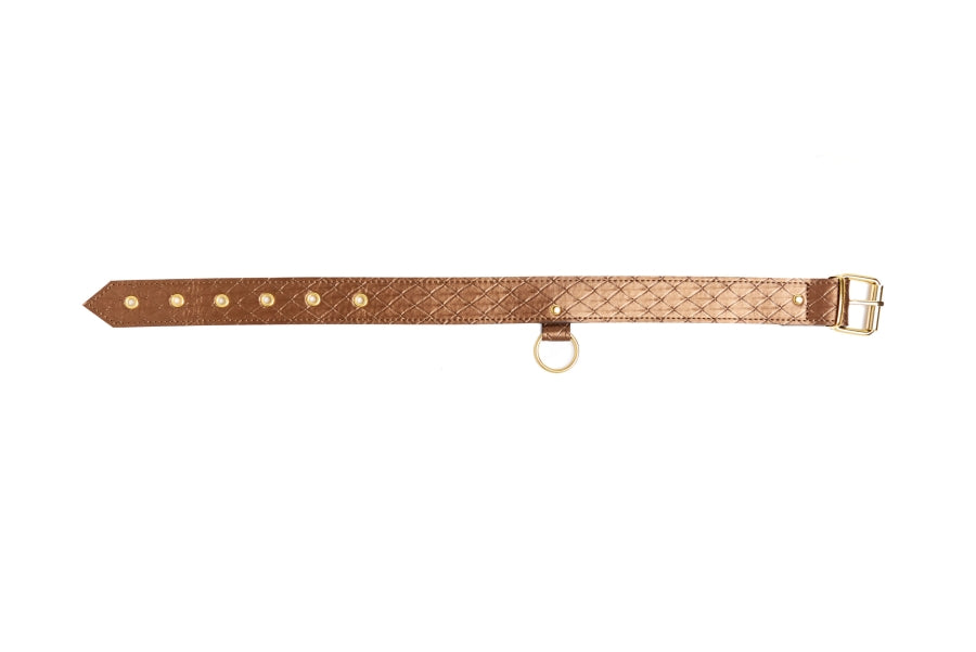 X-Play Darling Pet Collar with Leash (set)