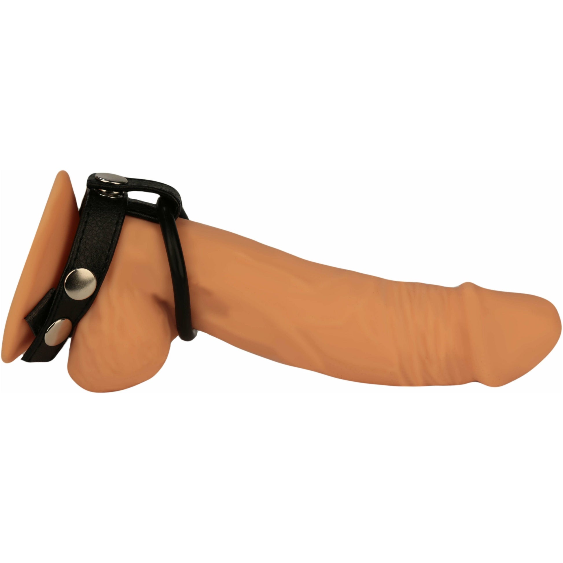 CalExotics® Ball Spreader Medium