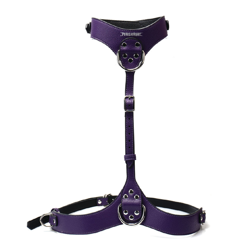 Punishment Silver Body Harness