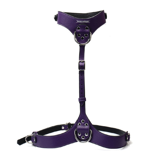 Punishment Silver Body Harness
