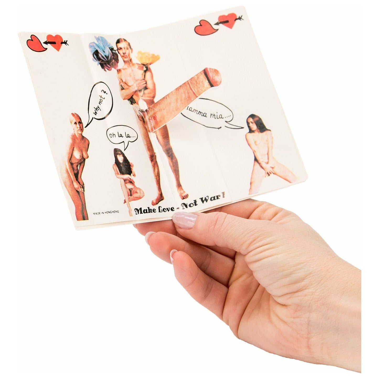 Novelty Parody Passport