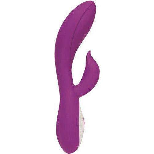 Wonderlust Harmony - Purple