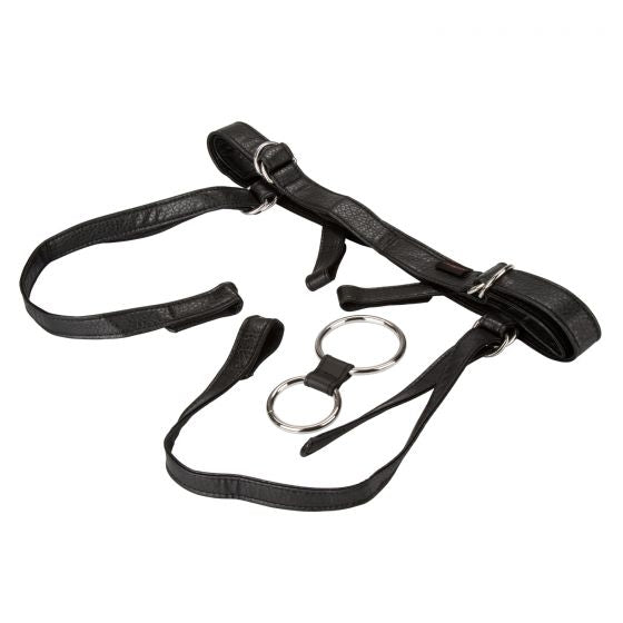 CalExotics - Her Royal Harness The Duchess - (Boxed)