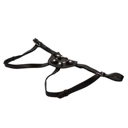 CalExotics - Her Royal Harness The Countess - (Boxed)