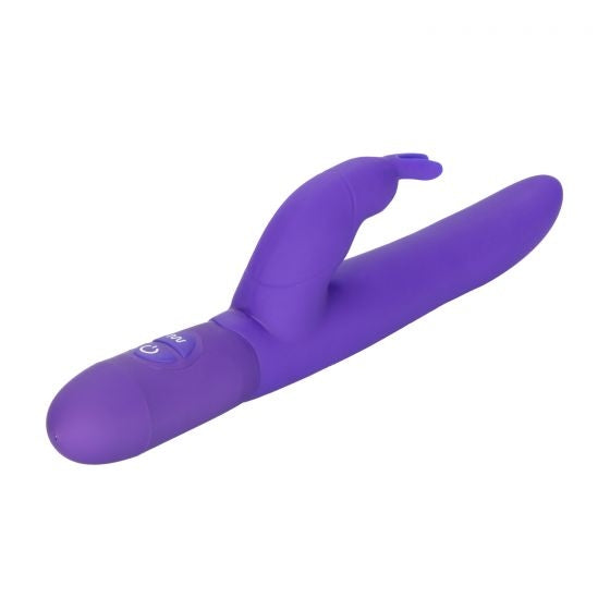 Bounding Bunny - Purple