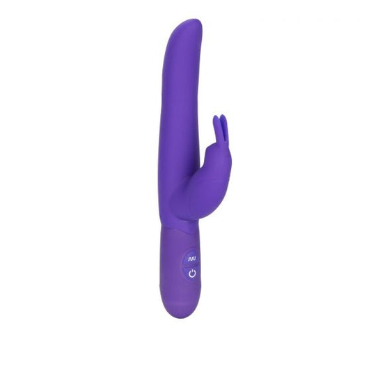 California Exotic Bounding Bunny - Purple