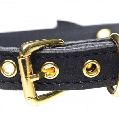 Master Series Golden Kitty Cat Bell Collar - Black/Gold