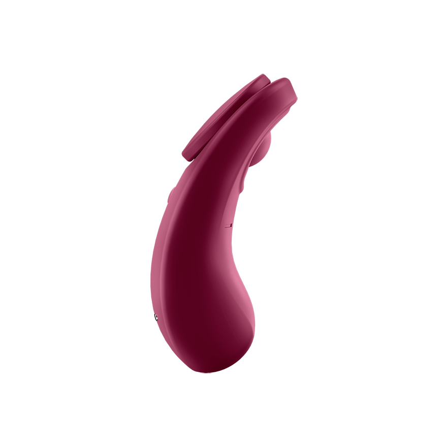 Satisfyer Sexy Secret Wine Red