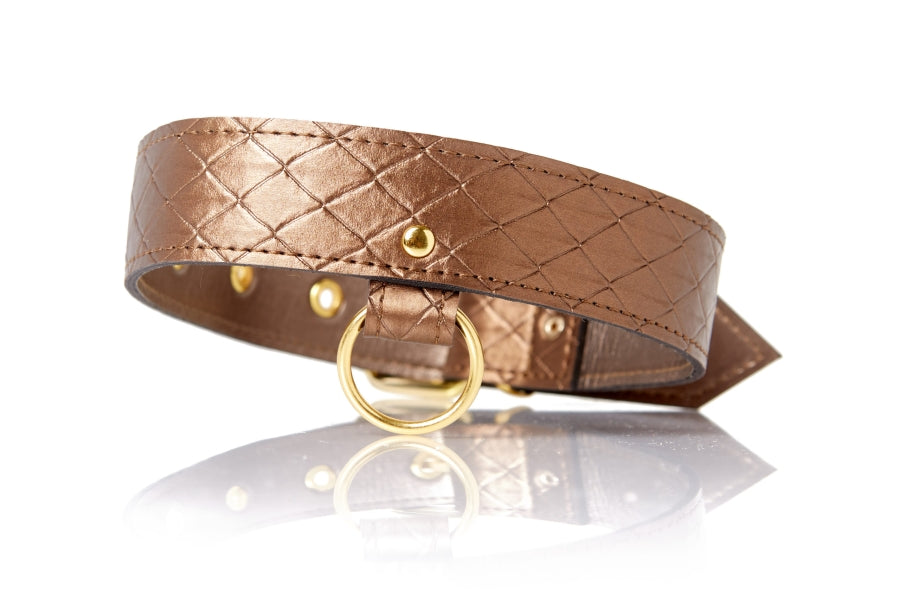 X-Play Darling Pet Collar with Leash (set)