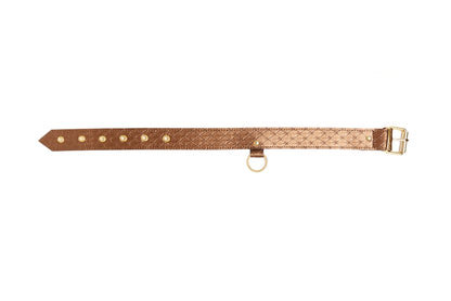 X-Play Darling Pet Collar with Leash (set)