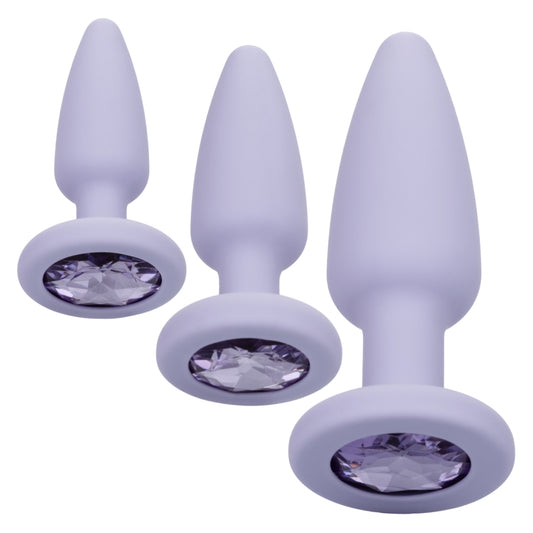 California Exotic First Time Crystal Booty Kit - Purple