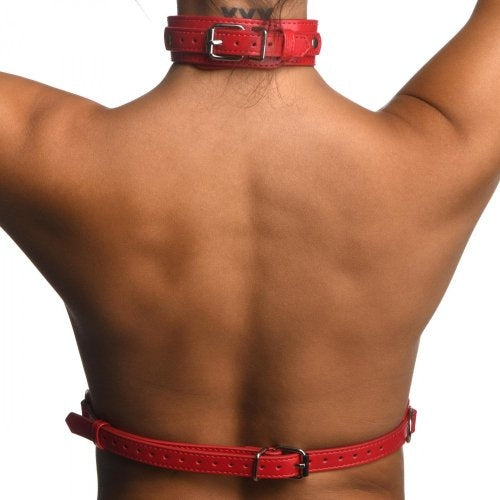 Strict Red Female Chest Harness- M/L