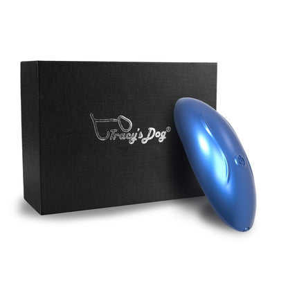 Wearable Panty Vibrator Metallic Color
