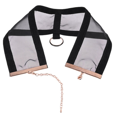 Sportsheets - S&M Sheer Day Collar