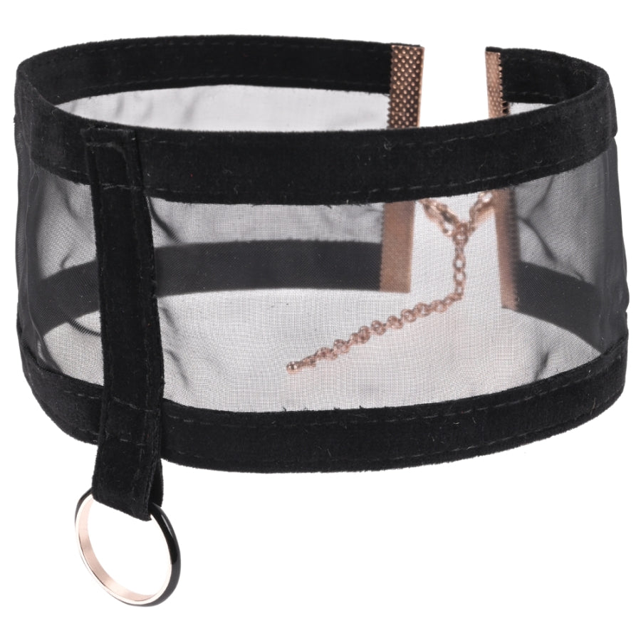 Sportsheets - S&M Sheer Day Collar