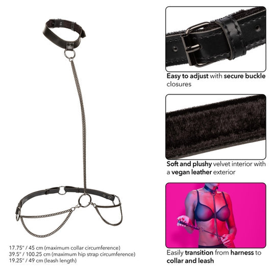 California Exotic Euphoria Collection Chain Halter/Collar & Leash