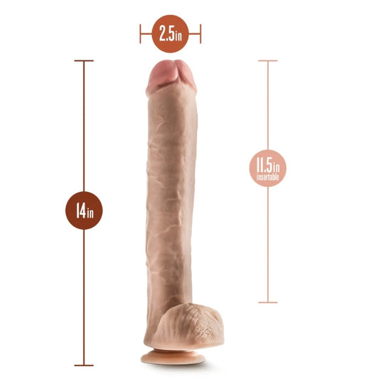 Blush - Hung Rider - Bruno - Beige