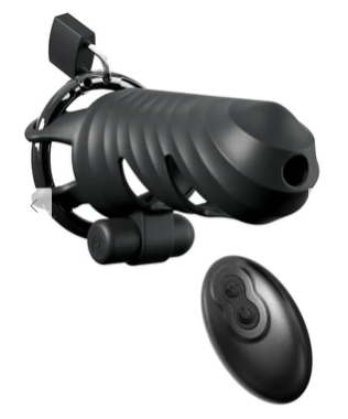 Fantasy C-Ringz Remote-Controlled Vibrating Cock Blocker - Black