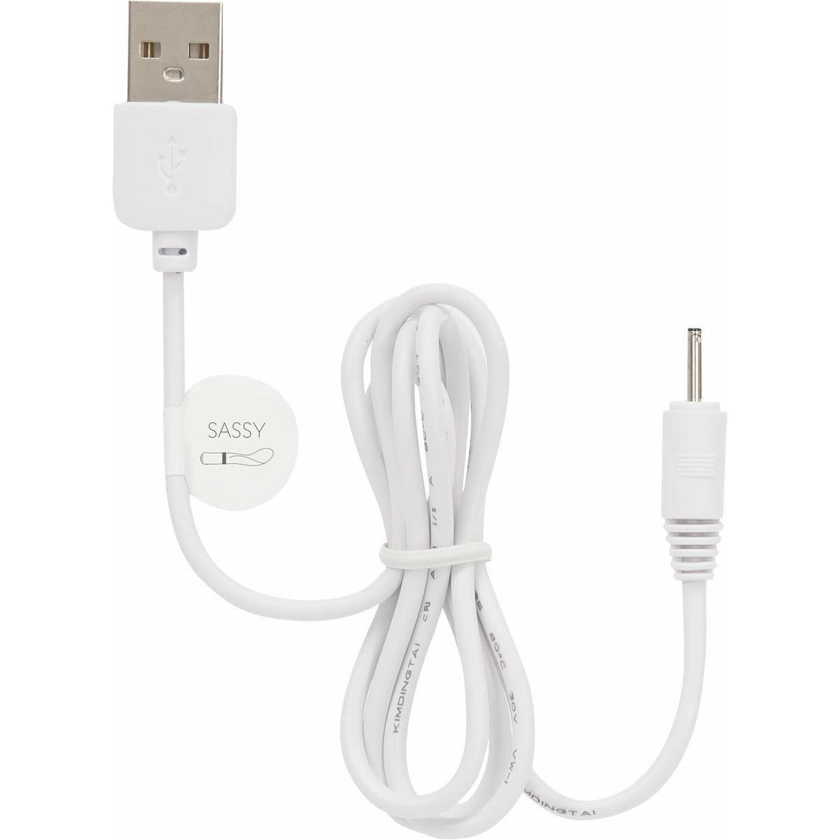 Pillow Talk Charging Cord - Pillow Talk Sassy