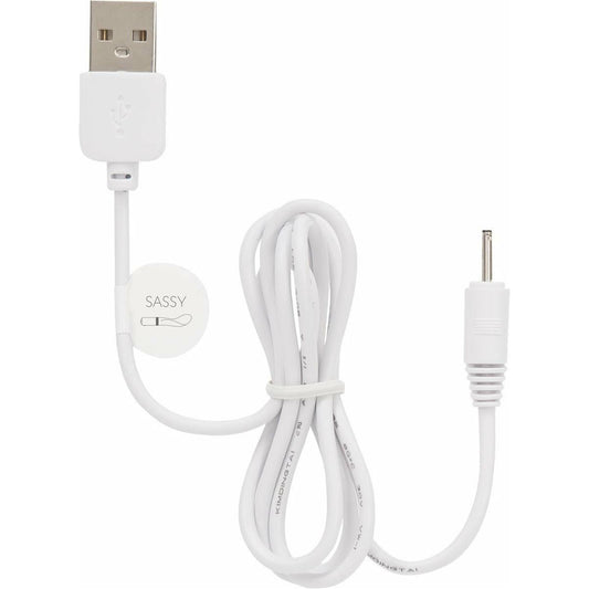 Pillow Talk Charging Cord - Pillow Talk Sassy