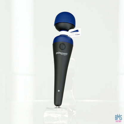 PalmPower® Recharge Massage Wand – Blue