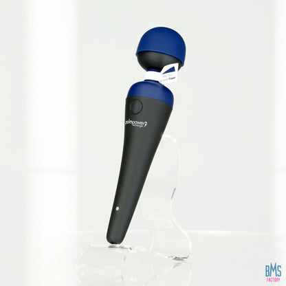 PalmPower® Recharge Massage Wand – Blue