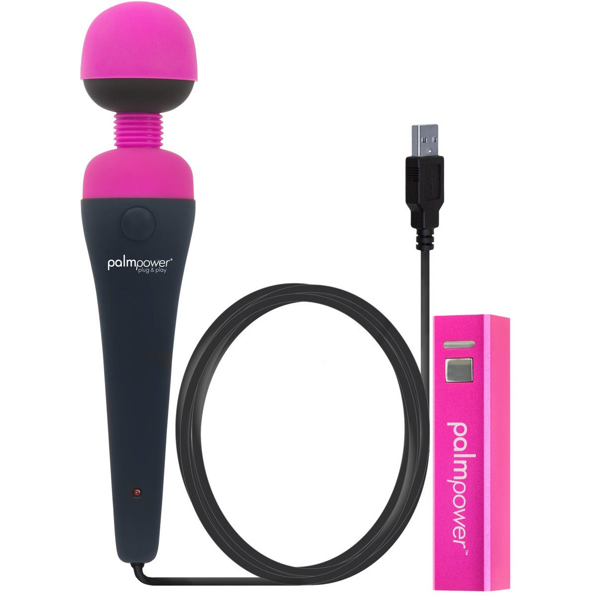 PalmPower Plug & Play Massager