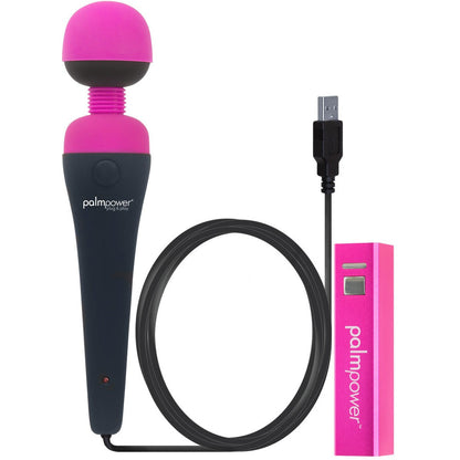 PalmPower Plug & Play Massager