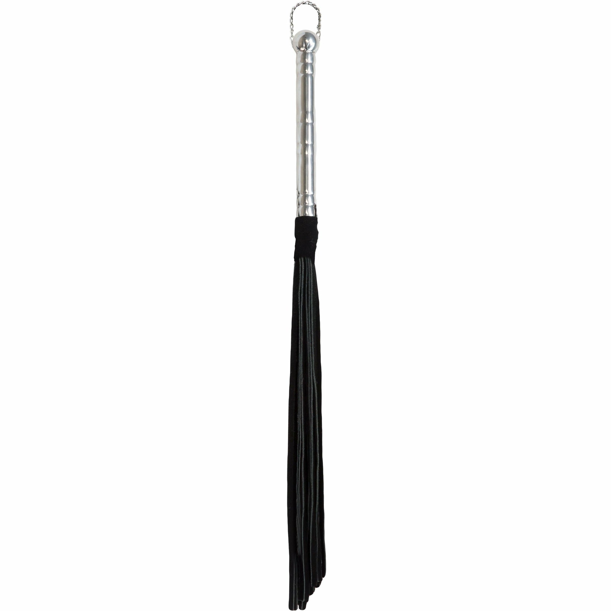 Punishment Black Whip with Silver Handle