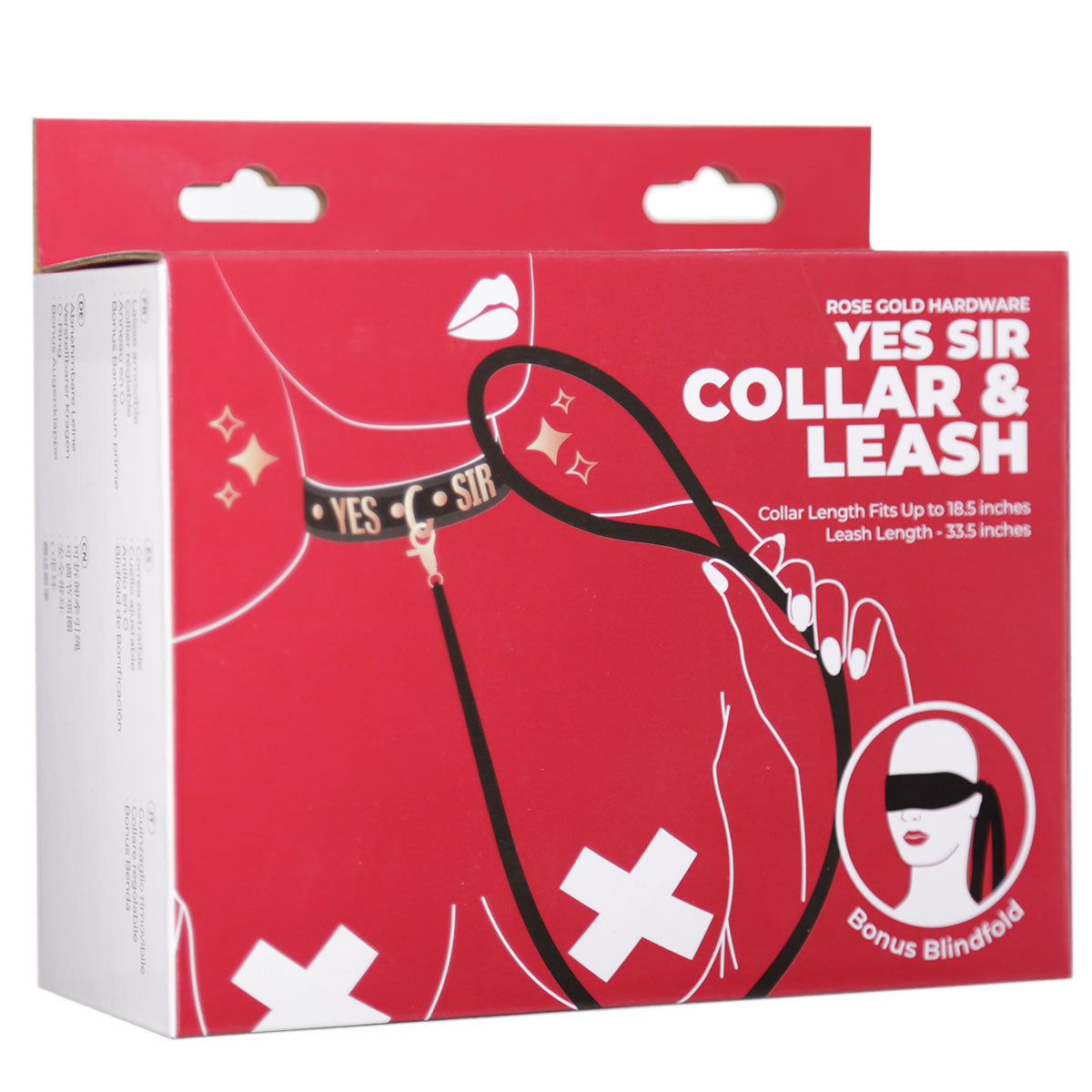 Punishment Rose Gold Yes Sir Collar & Leash