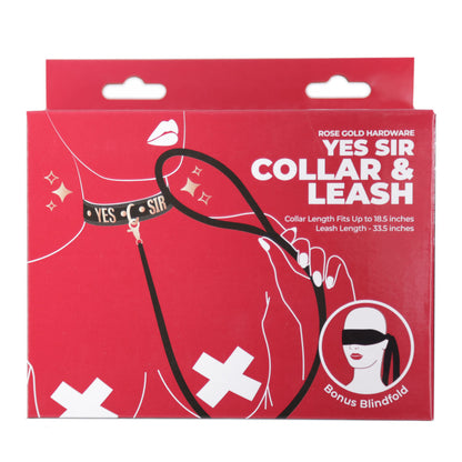 Punishment Rose Gold Yes Sir Collar & Leash