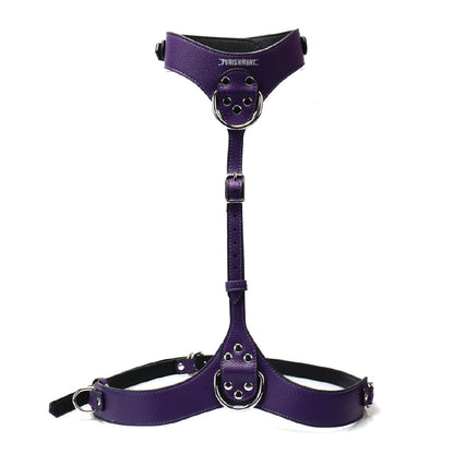 Punishment Silver Body Harness