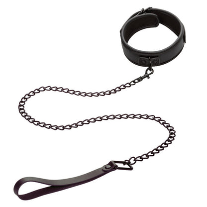 CalExotics® Nocturnal Collection Collar & Leash - Black
