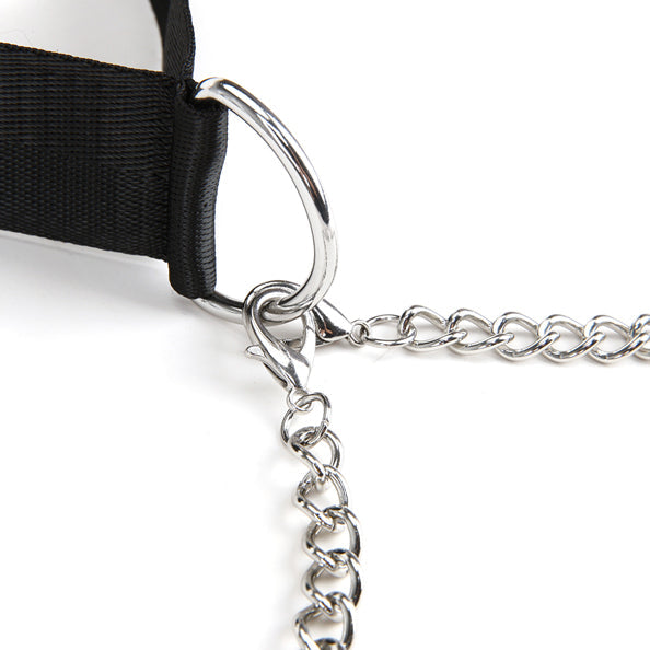 Lux Fetish - Collar and Adjustable Pressure Nipple Clamps