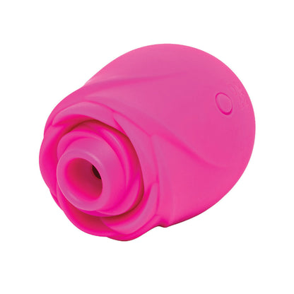 ROMP® Rose 2.0 *New